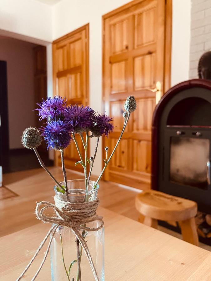 Hill Durmitor Apartment Zabljak  Ngoại thất bức ảnh