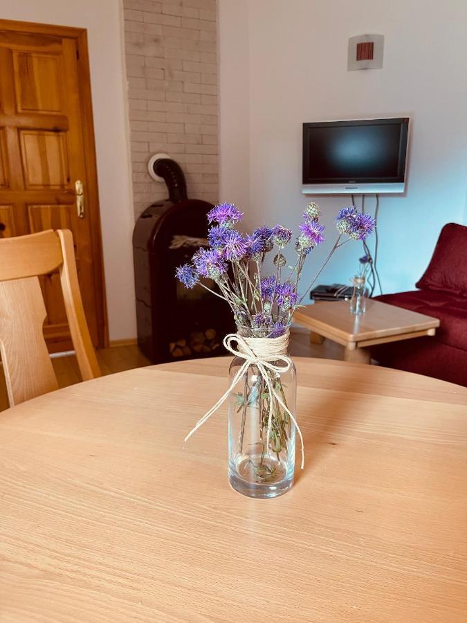 Hill Durmitor Apartment Zabljak  Ngoại thất bức ảnh