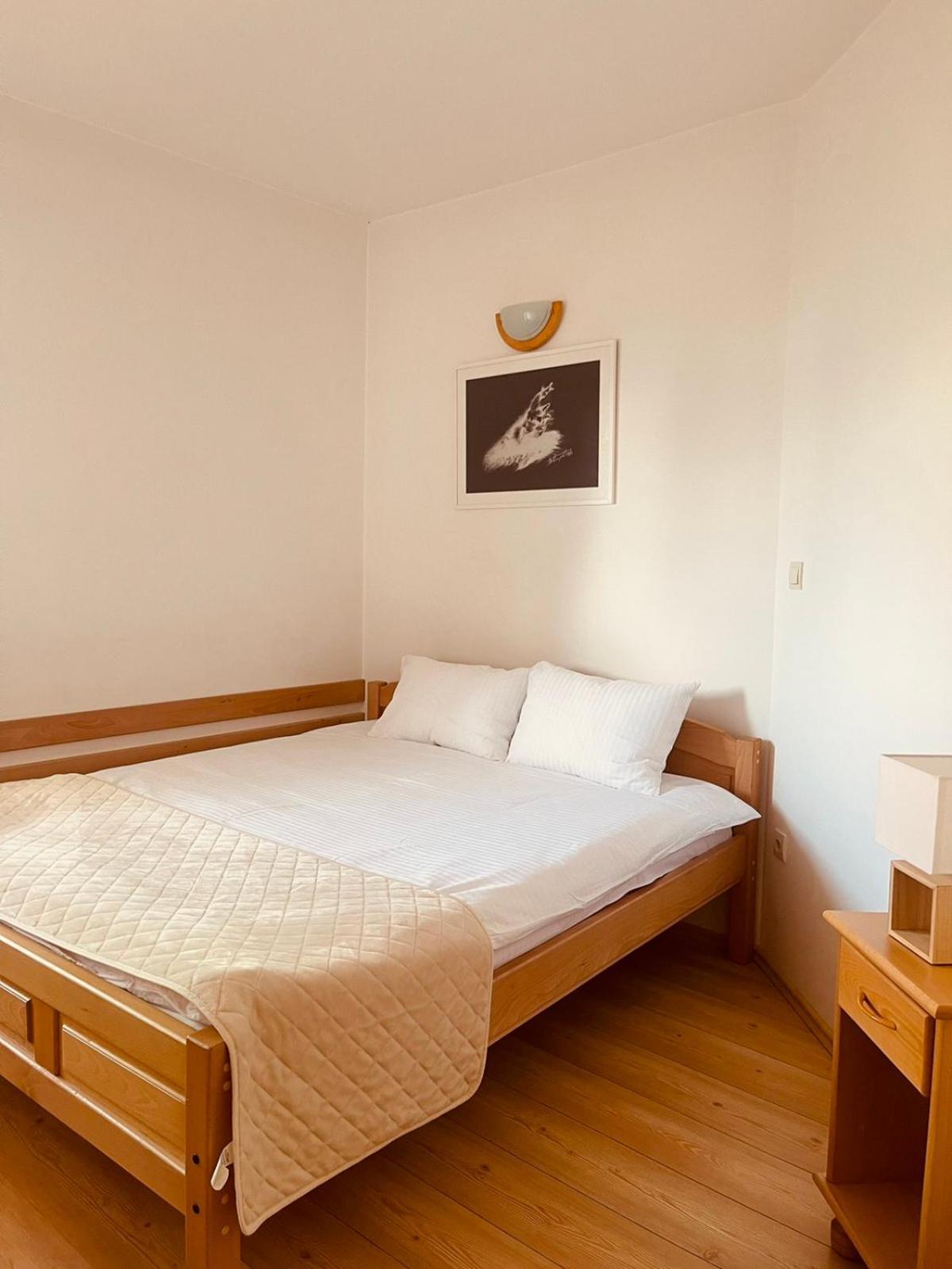 Hill Durmitor Apartment Zabljak  Ngoại thất bức ảnh
